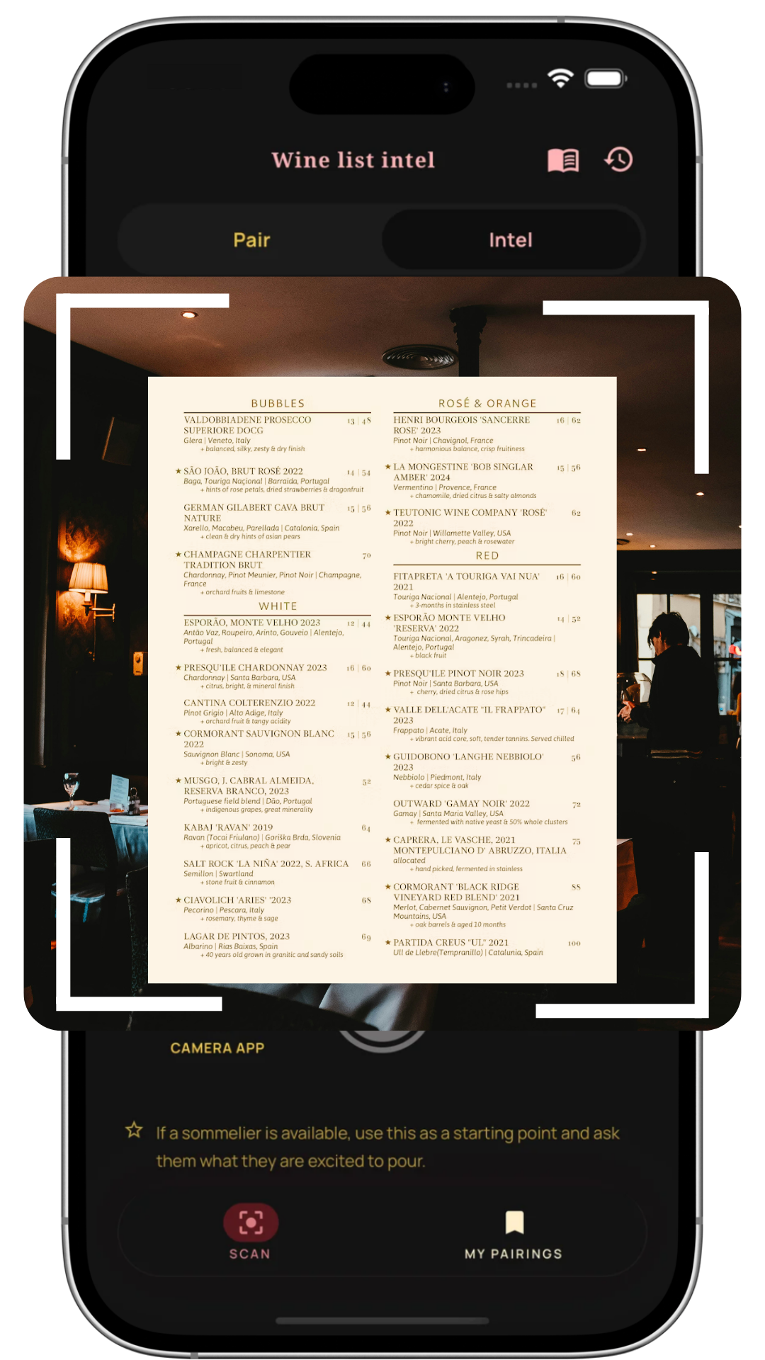 Corki scanning a restaurant wine list